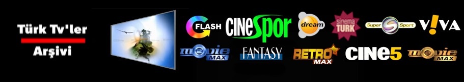 Geoit Wordpress Teması